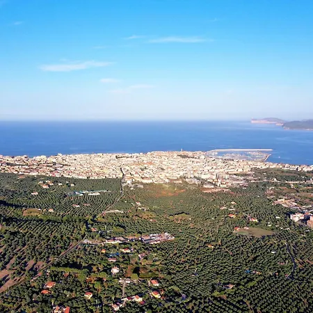 Ostrica By Interhome *